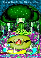 Psychedelic Woodland · 6 Aug 11, 17:30