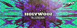 HOLYWOOZ | XEROX & ILLUMINATION | BORN SLEEPY and more · 22 nov. 14, 22:00
