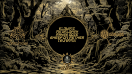 Privat Gathering w/ Elowinz, Megalopsy, Abyss Ooze, Peyoceps +++ · 1 nov 25, 22:00