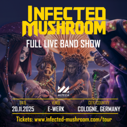 INFECTED MUSHROOMS · 20.11.25, 19:00