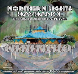 Northern-Lights Winter Daydance · 7 févr. 26, 11:00