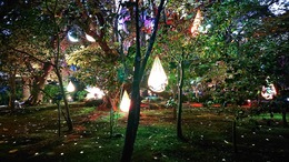 Crystal Flow Vol.８ - Organized by AO · 24 Apr 26, 23:00