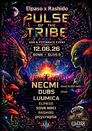 Pulseofthetribe · 12 Jun 26, 22:00