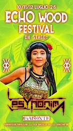 Image from flyer/medium
