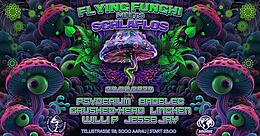 Flying Funghi Meets Schlaflos · 2 Oct 26, 22:00