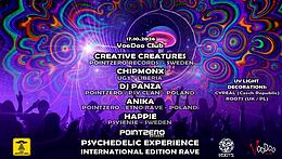 PSYCHEDELIC EXPERIENCE INTERNATIONAL EDITION RAVE · 17 Oct 26, 22:00