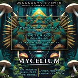 MYCELIUM Vol.2 · 30 Aug 25, 18:00