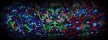 Trance Orient Express · 27.09.25, 22:00