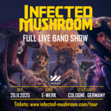 INFECTED MUSHROOMS · 20 nov 25, 19:00