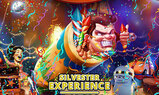 Silvester Experience · 31 Dec 25, 22:00