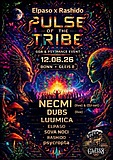 Pulseofthetribe · 12 Jun 26, 22:00