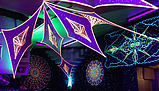 Image from flyer/small