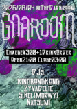Image from flyer/small