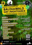Bald im Wald 2026 - Day and Nightdance · 12 Sept 26, 12:00