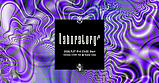 Koenji Cave presents ▷ Laboratory Vol.36 · 27 Nov 26, 23:00