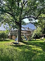 Image from party/medium