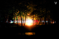Image from party/medium