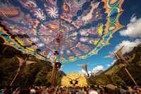 Image from party/medium