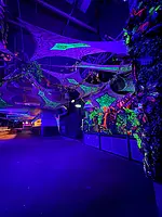 Image from party/medium