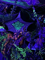 Image from party/medium