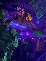 Image from party/medium