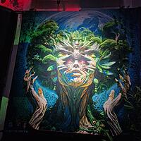 Image from party/medium