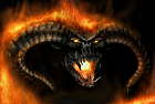 Profile image: Tarantula