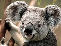 Profilbild: Mike