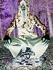 Foto de perfil: ॐ spider ॐ