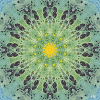 Foto de perfil: Synergetic