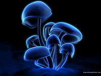 Foto de perfil: thoams