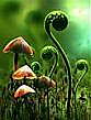 Foto de perfil: myconid