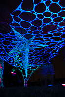 Profile image: Visual Dreams Decoration