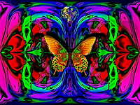 Photo de profil: Oo°magic°butterfly°oO