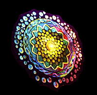 Profile image: Klein aber Fein