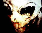 Photo de profil: RottingAlien