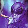 Profile image: MadDan