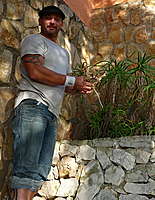 Foto de perfil: Wizard-lights