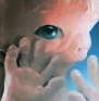 Profilbild: Prenatal
