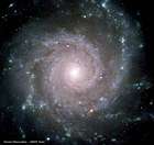 Photo de profil: Spir@lgalaxy