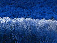 Image from user/small