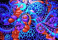Profile image: Psy-Pix