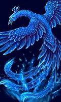 Profile image: Alex4