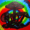 Image from user/small