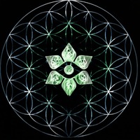 Profile image: MantraRoom