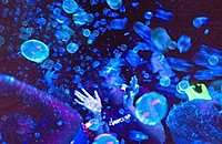 Photo de profil: LSD-Verleih