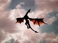 Foto de perfil: Drache
