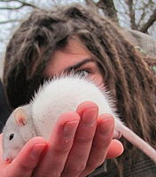Photo de profil: Psydread