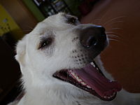 Profilbild: mOe...-Free Optics-...