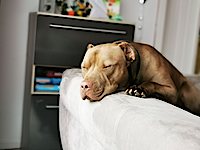 Profile image: Klotze